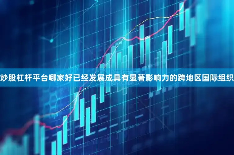 炒股杠杆平台哪家好已经发展成具有显著影响力的跨地区国际组织