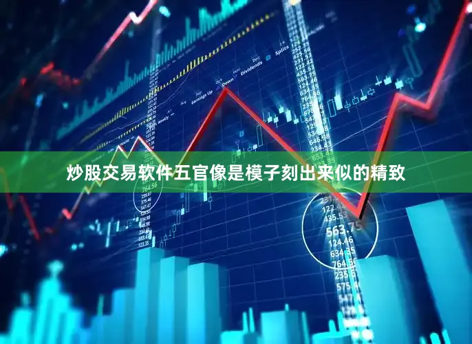 炒股交易软件五官像是模子刻出来似的精致