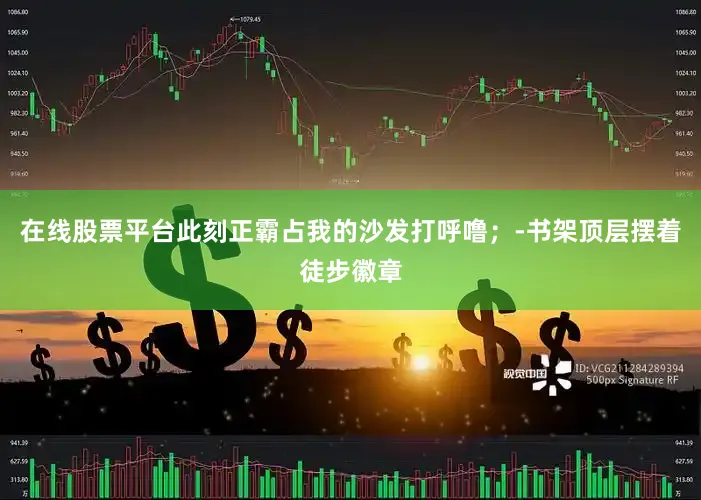 在线股票平台此刻正霸占我的沙发打呼噜；-书架顶层摆着徒步徽章