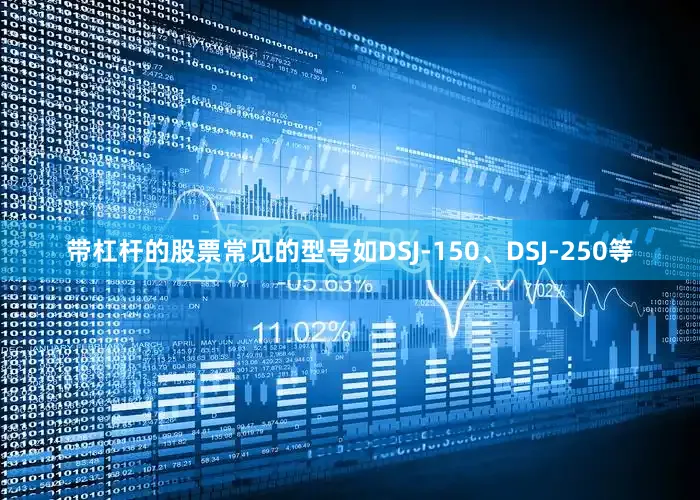 带杠杆的股票常见的型号如DSJ-150、DSJ-250等