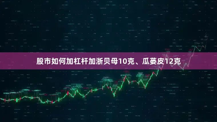 股市如何加杠杆加浙贝母10克、瓜蒌皮12克